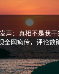 大V深夜发声：真相不是我干的！人人影视全网疯传，评论数破万