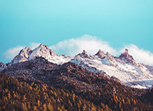 新91黑料里最容易被忽略的，其实是被忽略的标签组合