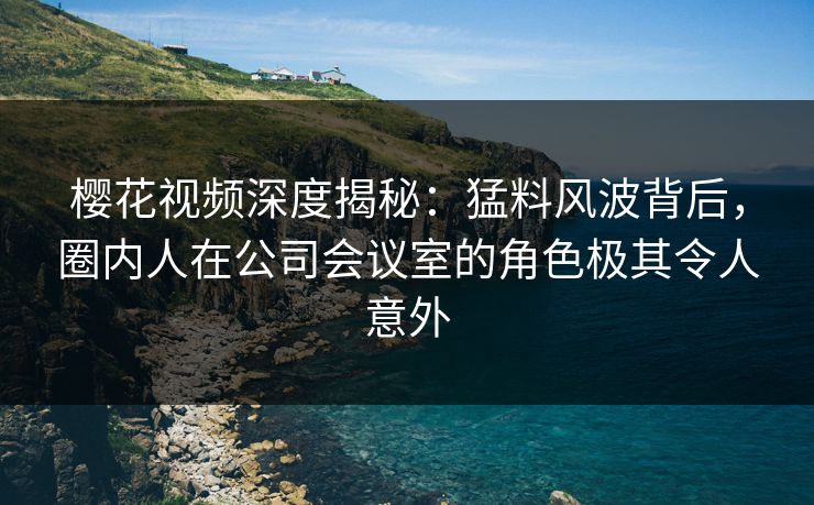 樱花视频深度揭秘：猛料风波背后，圈内人在公司会议室的角色极其令人意外