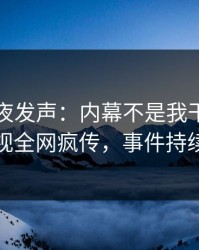 网红深夜发声：内幕不是我干的！人人影视全网疯传，事件持续发酵