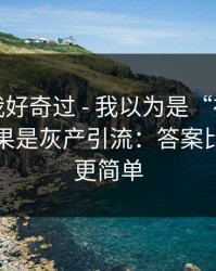 我承认我好奇过 - 我以为是“在线教学”：结果是灰产引流：答案比你想的更简单
