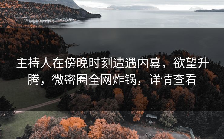 主持人在傍晚时刻遭遇内幕，欲望升腾，微密圈全网炸锅，详情查看